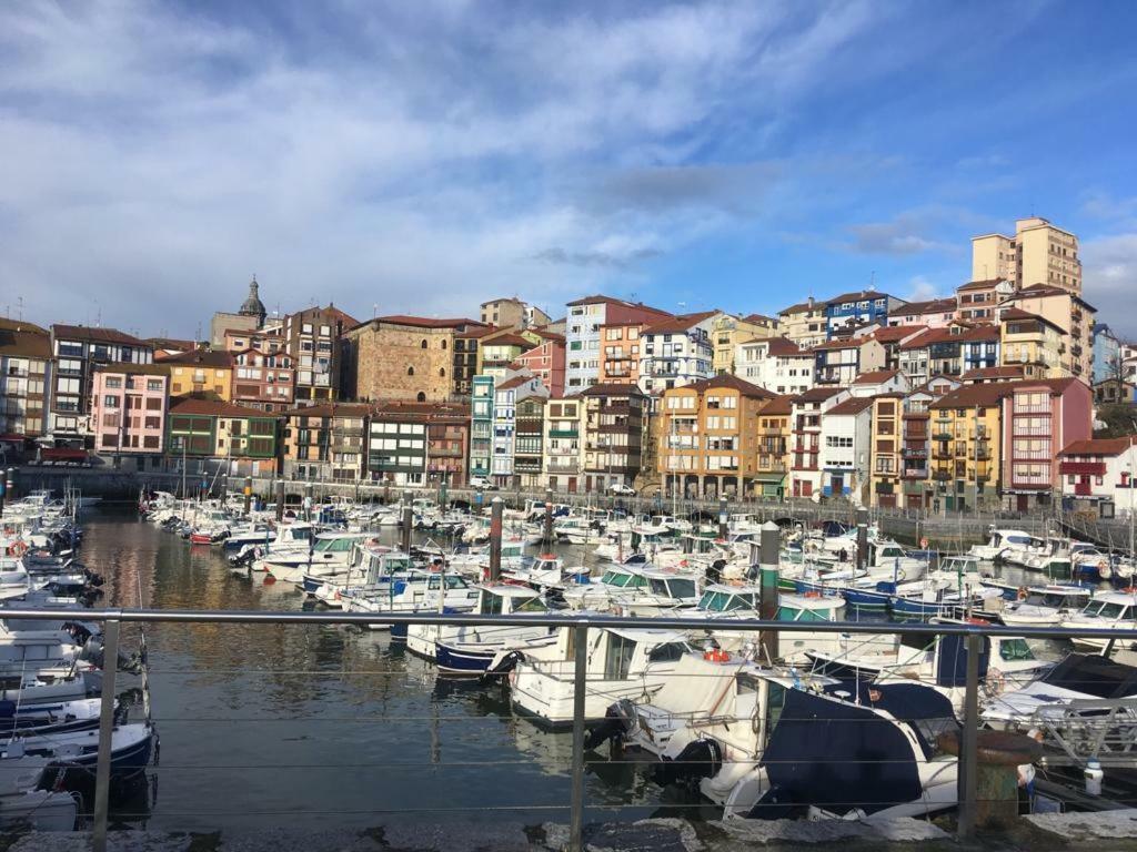 Apartamentos Urdaibai 1 Bermeo Esterno foto